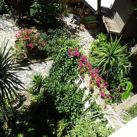Bahia Blanca - * Cadiz